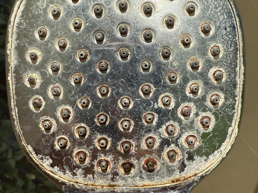 Villa delle Palme主图