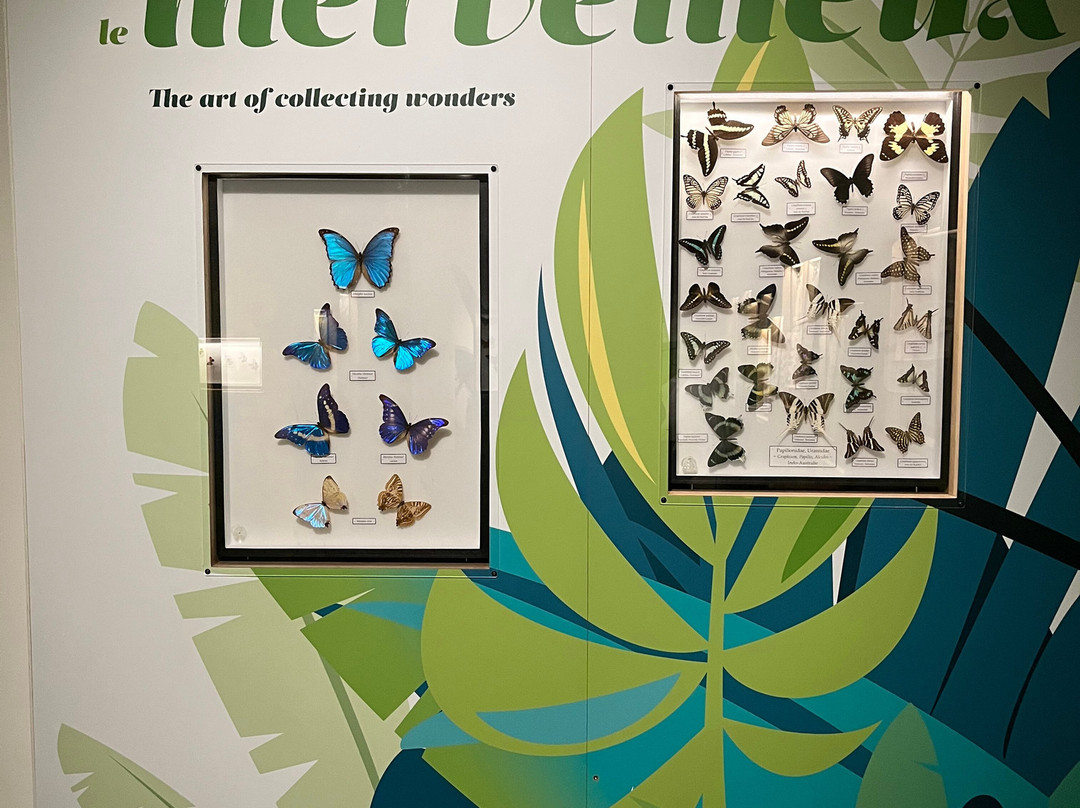Micropolis La Cite Des Insectes-Saint-Leons必去景点