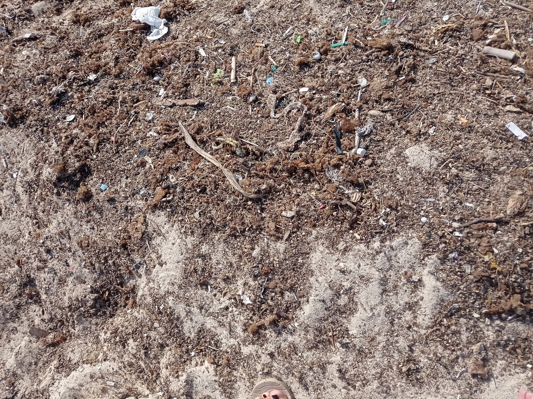 Spiaggia Di Torre Lapillo-切萨雷奥港必去景点