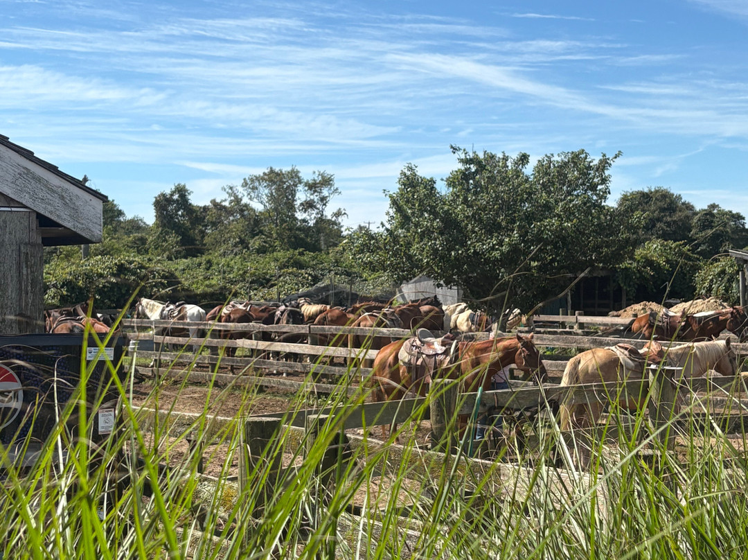 Deep Hollow Ranch-蒙托克必去景点