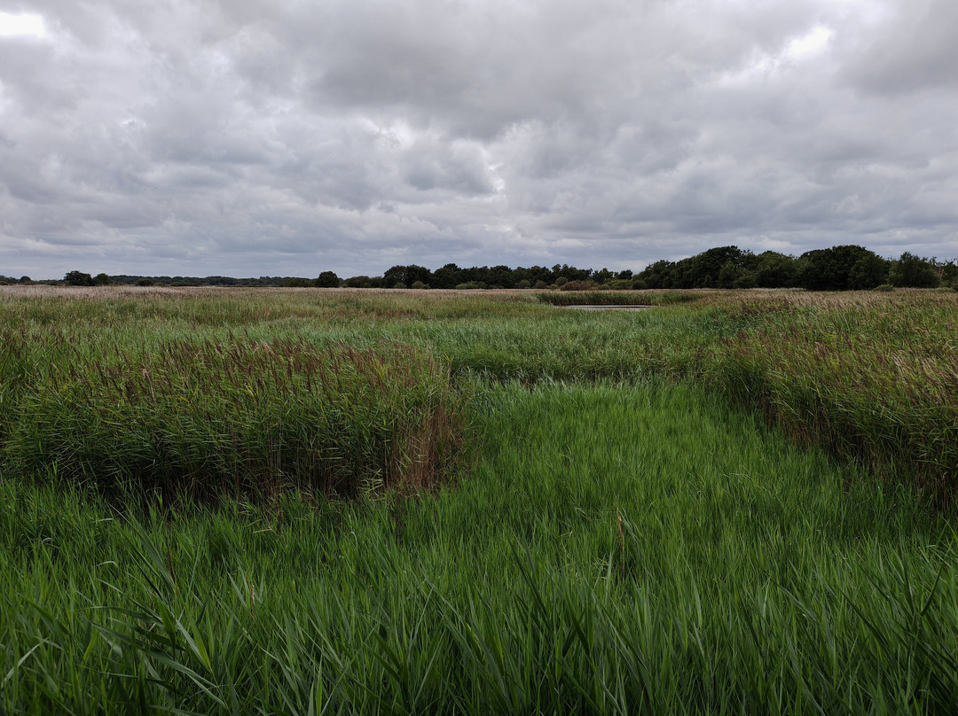 Hickling Broad and Marshes-诺福克郡必去景点