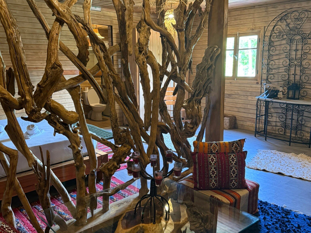 Bio Et Bois Domaine d'hotes主图