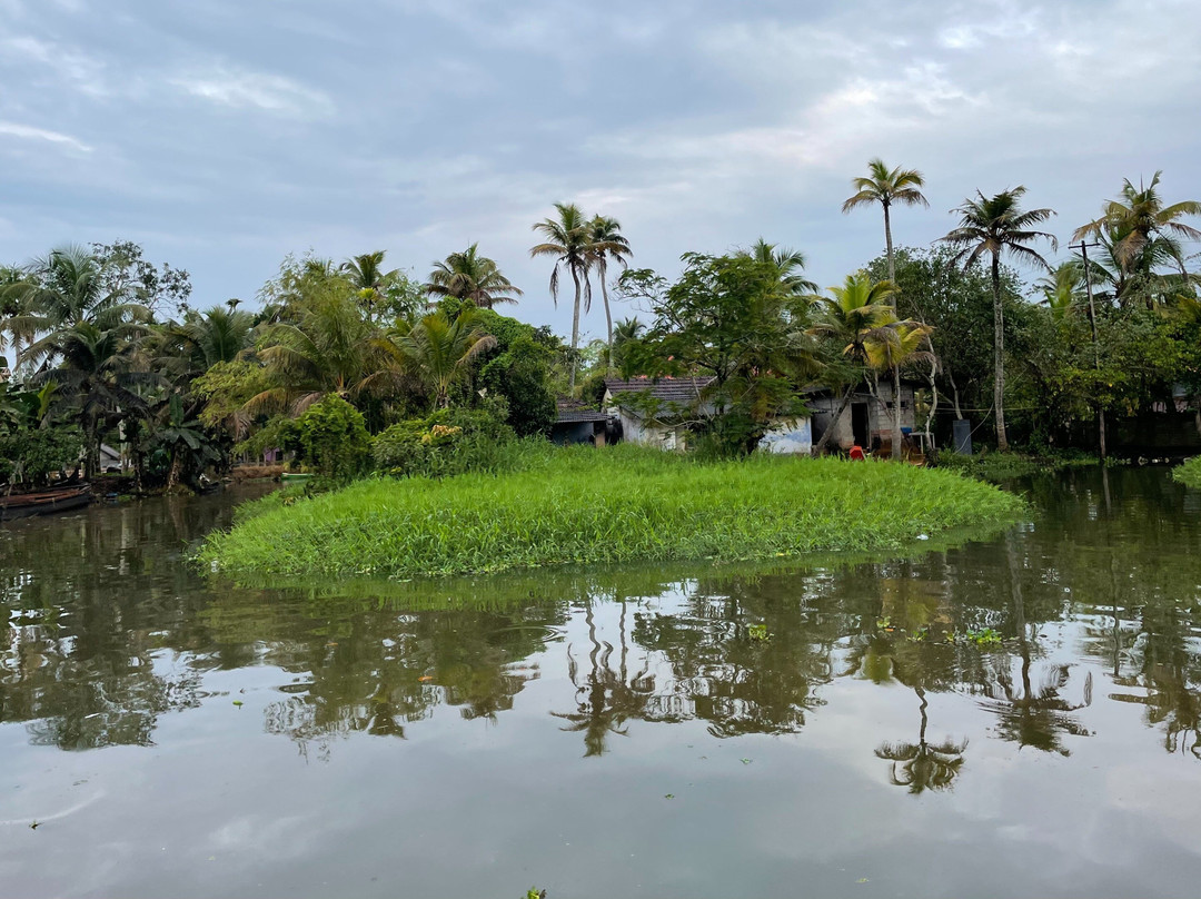 Fantastic Boat Cruise-Pallathuruthy必去景点