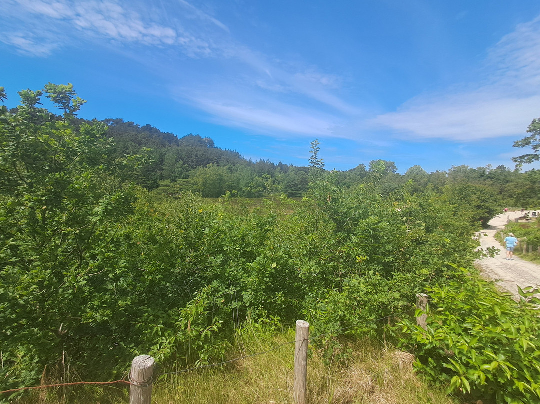 Schoorlse Duinen-Schoorl必去景点