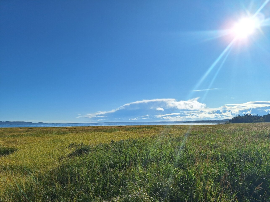 Aylmer - Whittom Park-七岛港必去景点