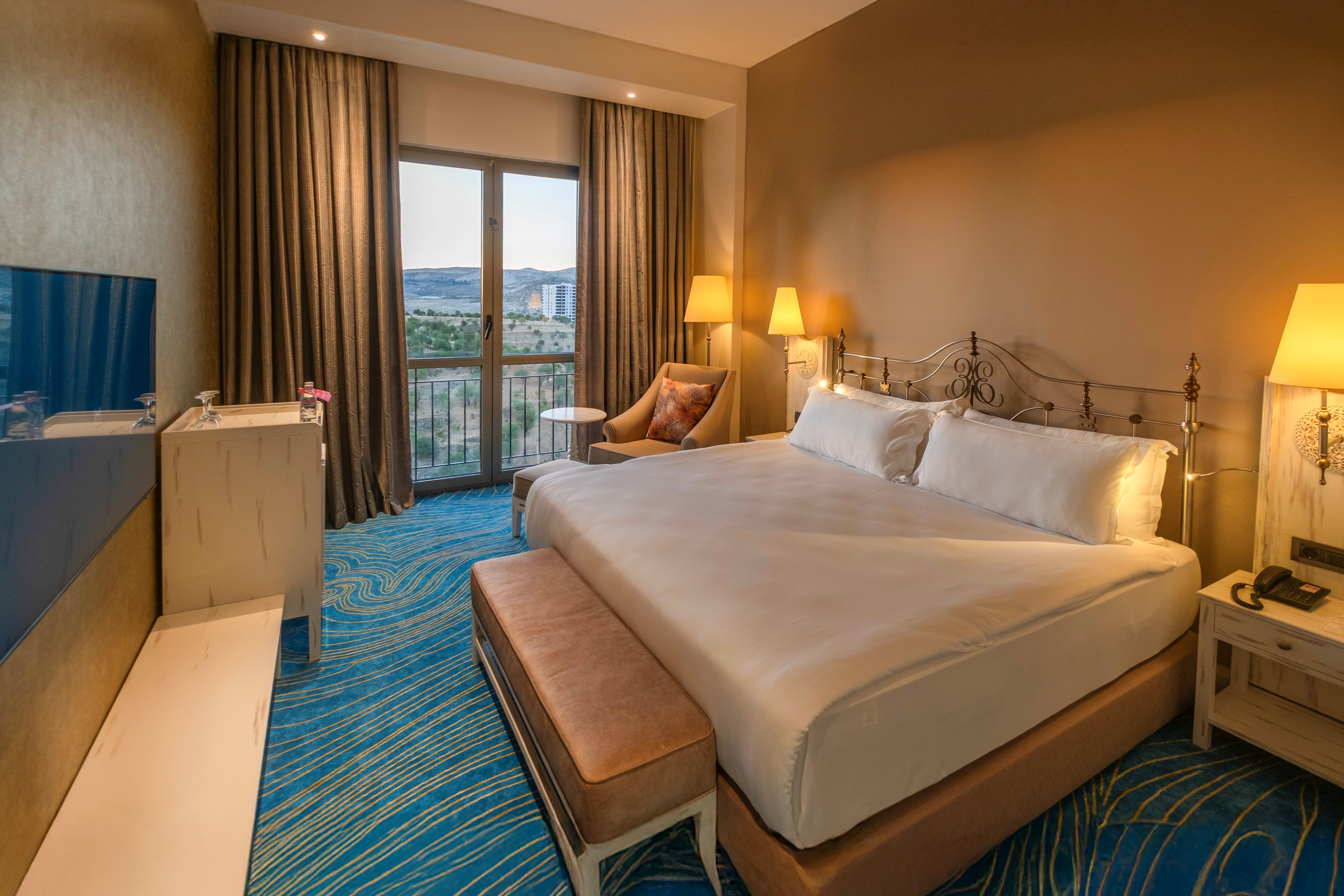 Ramada Plaza by Wyndham Mardin-客卧