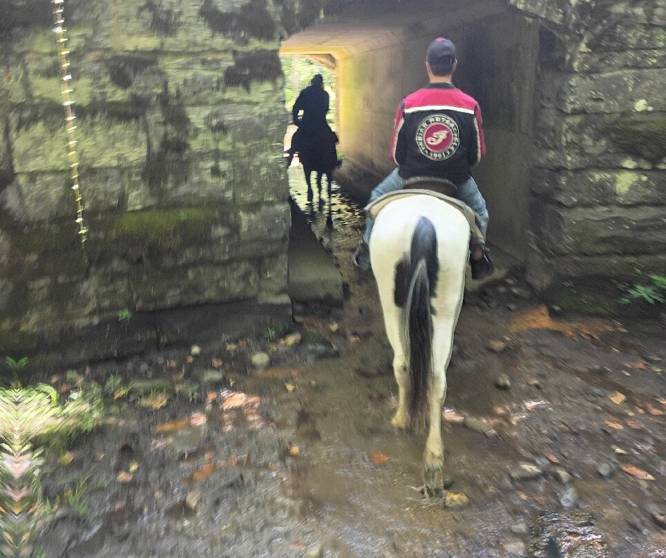 Smokemont Riding Stables-切罗基必去景点