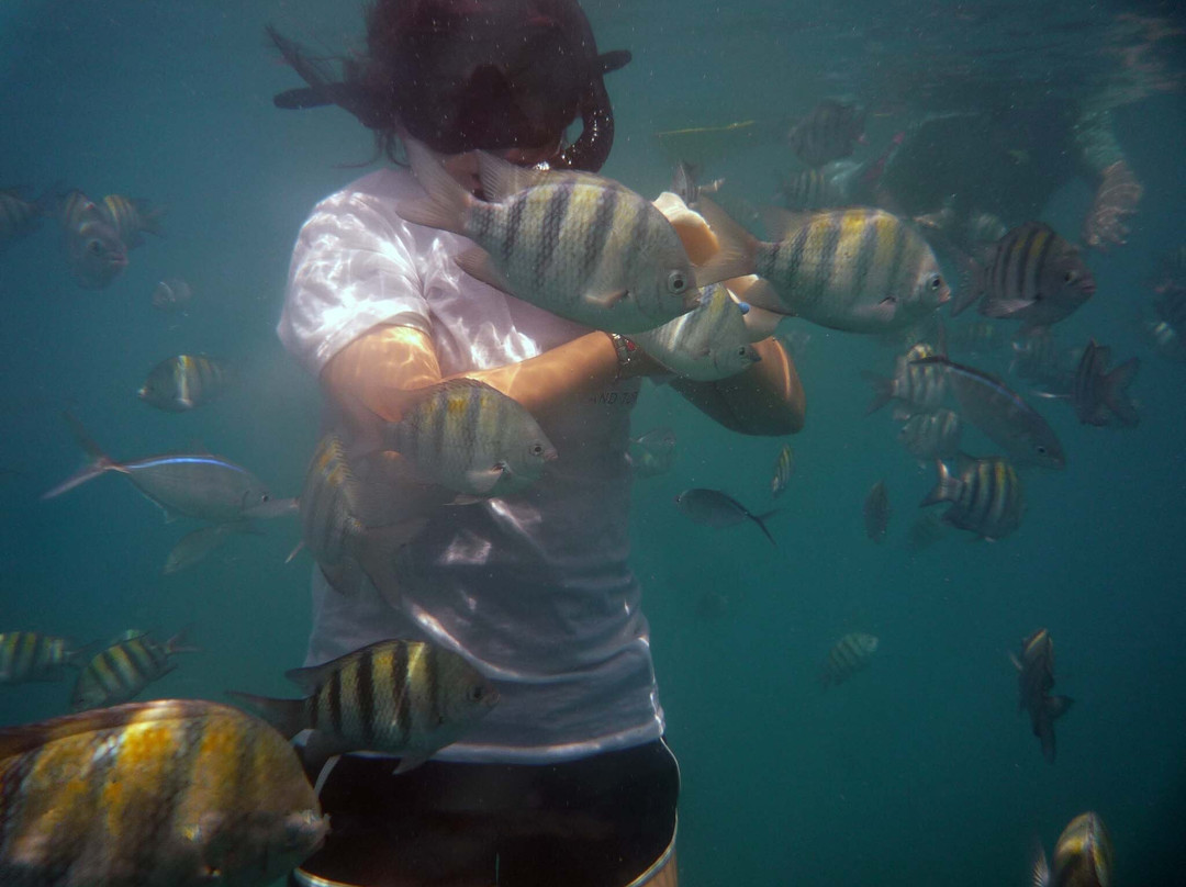 Divecenter Merlin-苏莎亚必去景点