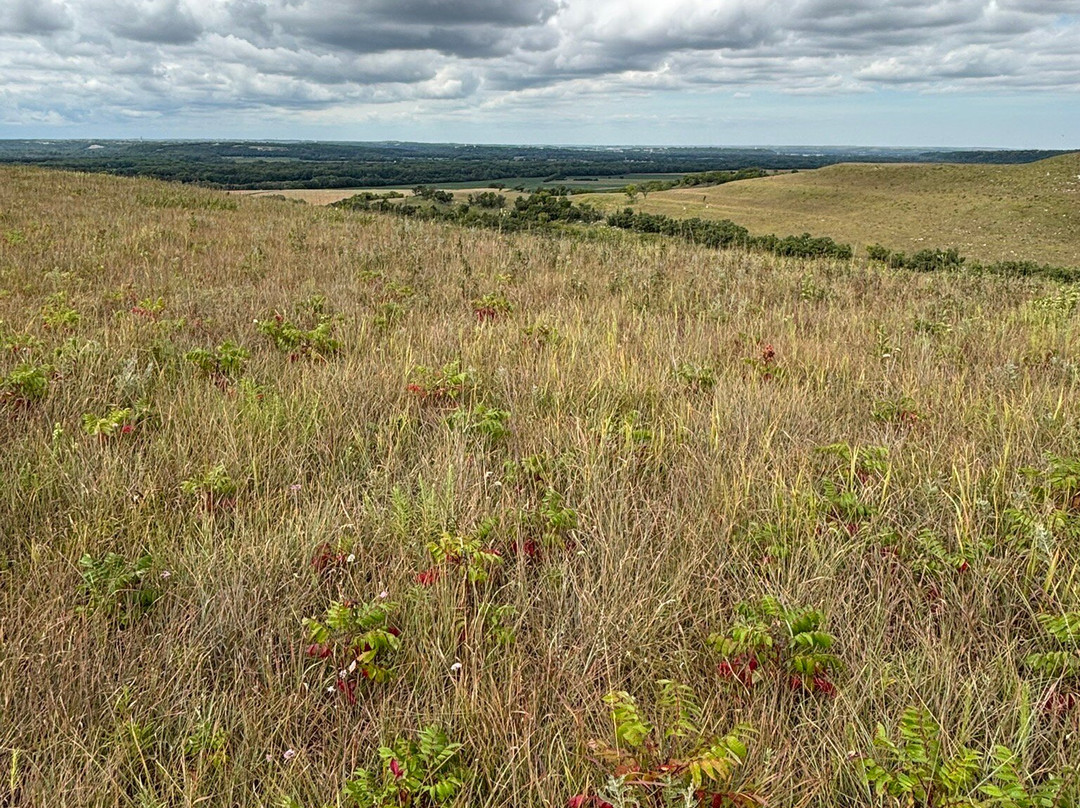 Konza Prairie Biological Station-曼哈顿必去景点