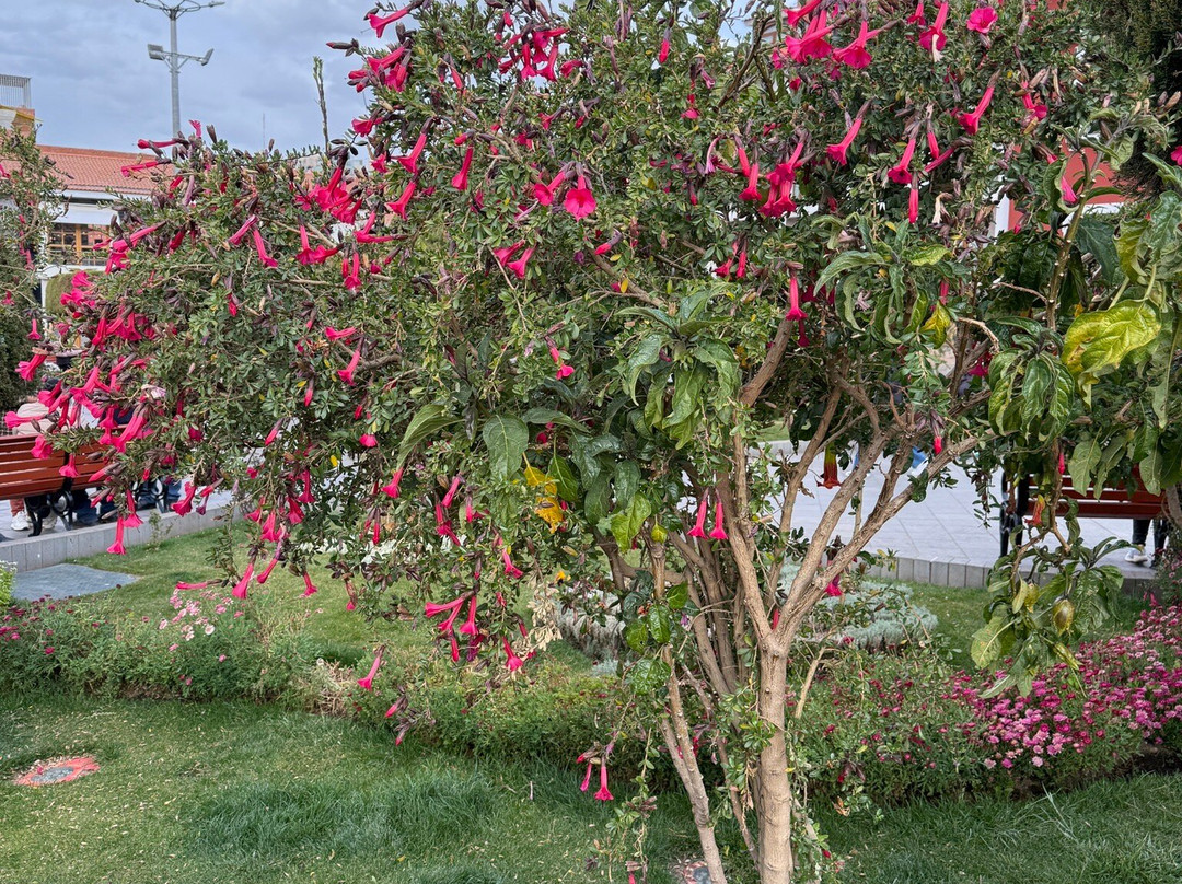 Suri Explorer-普诺大区必去景点