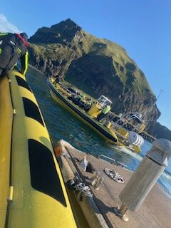 Ribsafari-韦斯特曼纳群岛必去景点