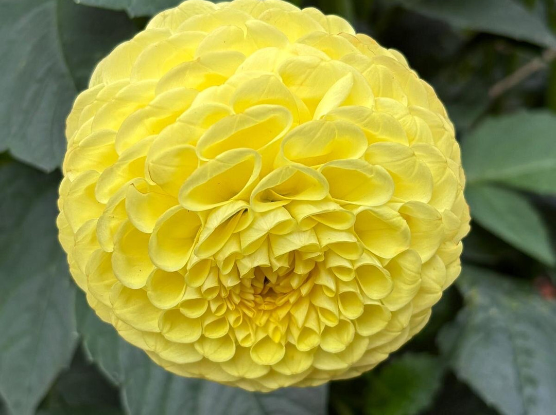 安格尔西修道院-Lode必去景点