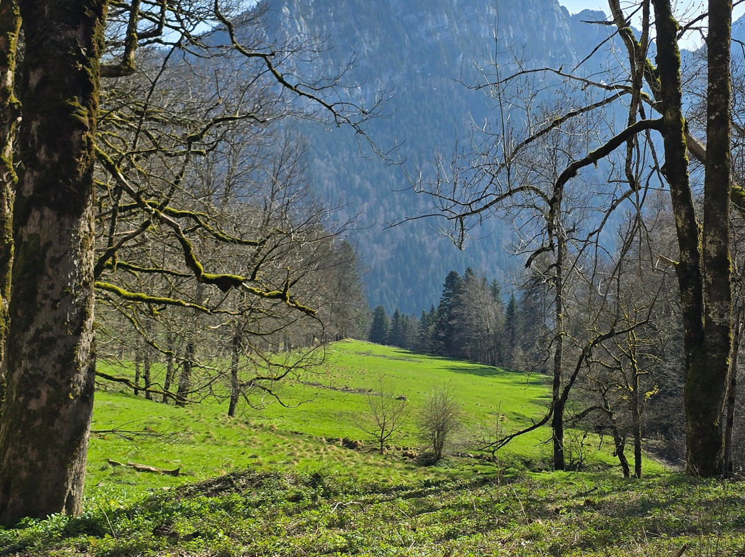 Monastere de la Grande Chartreuse-Saint-Pierre-de-Chartreuse必去景点