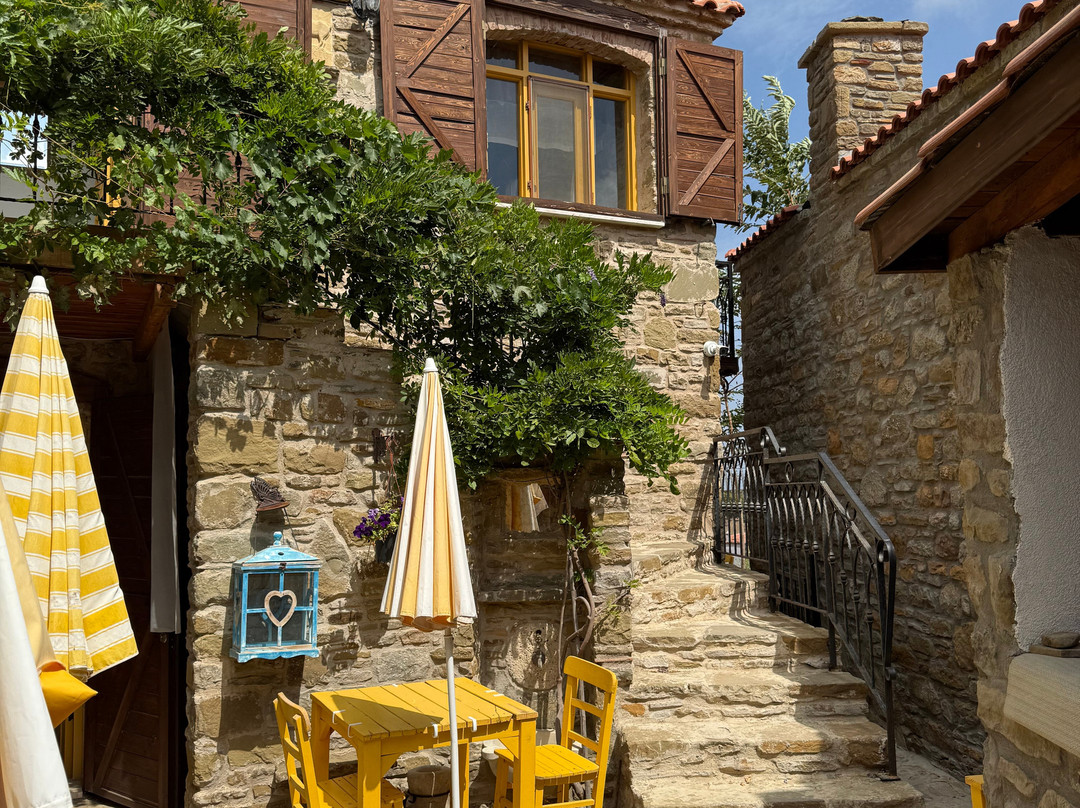 Sari Keçi̇ Taş Otel主图
