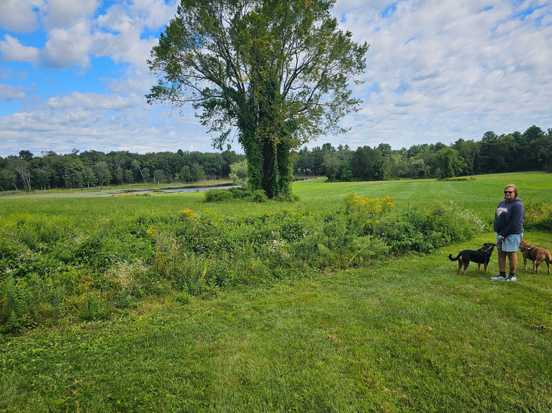 Inn at Fox Hill Farm主图