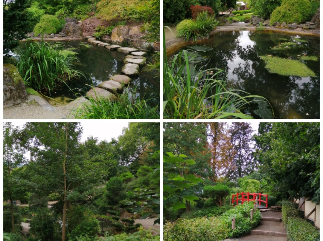 Japanischer Garten-凯撒斯劳滕必去景点