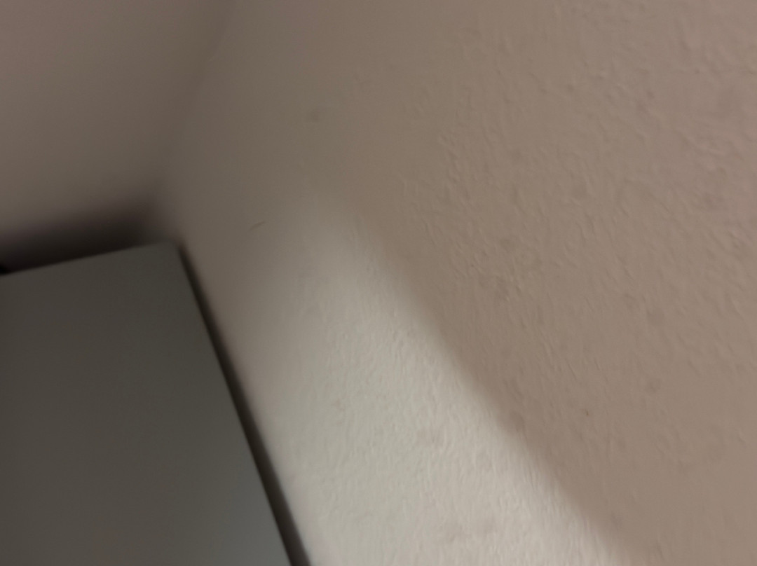 Hotel Classico主图