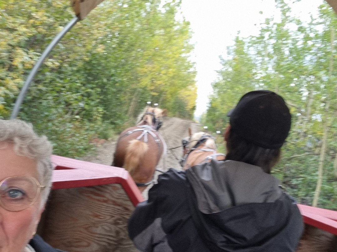 Denali Black Diamond Covered Wagon-Denali Park必去景点