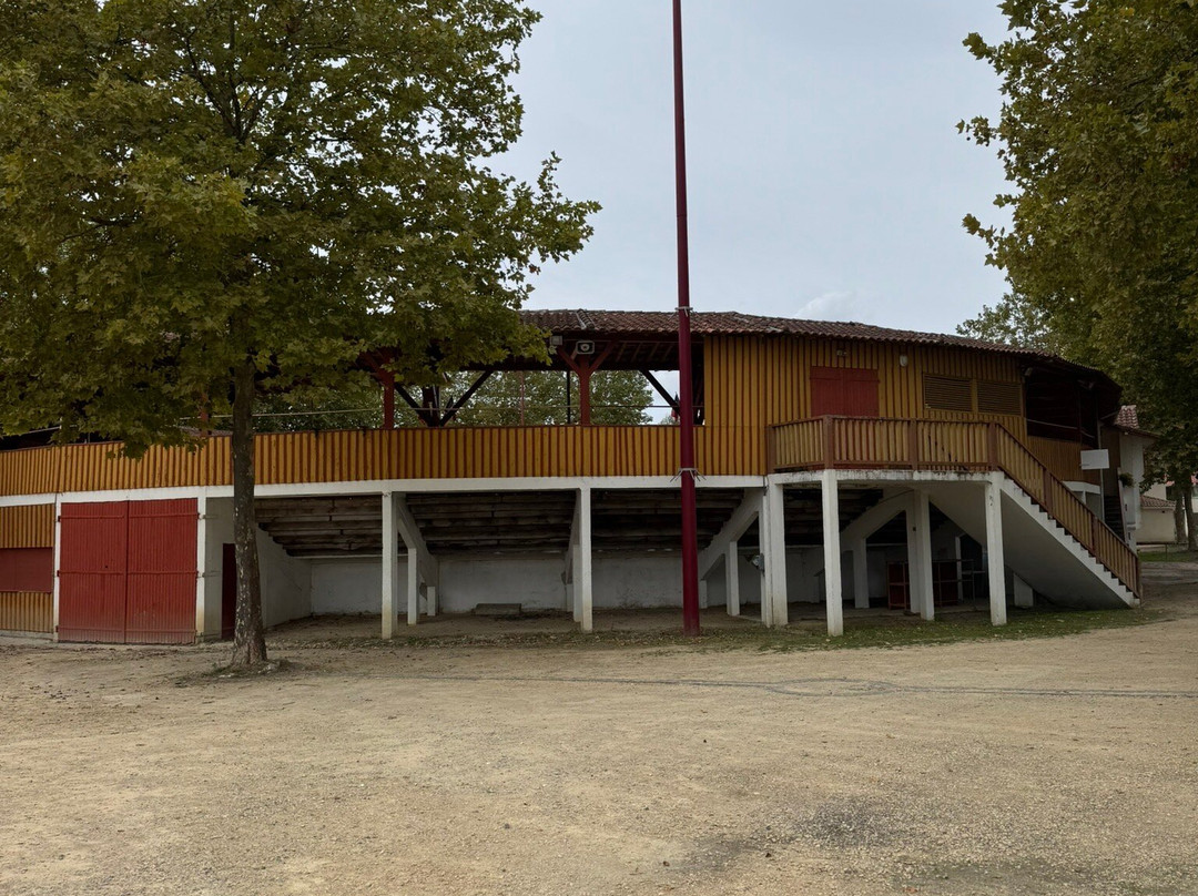 Arènes De Rion Des Landes-Rion-des-Landes必去景点