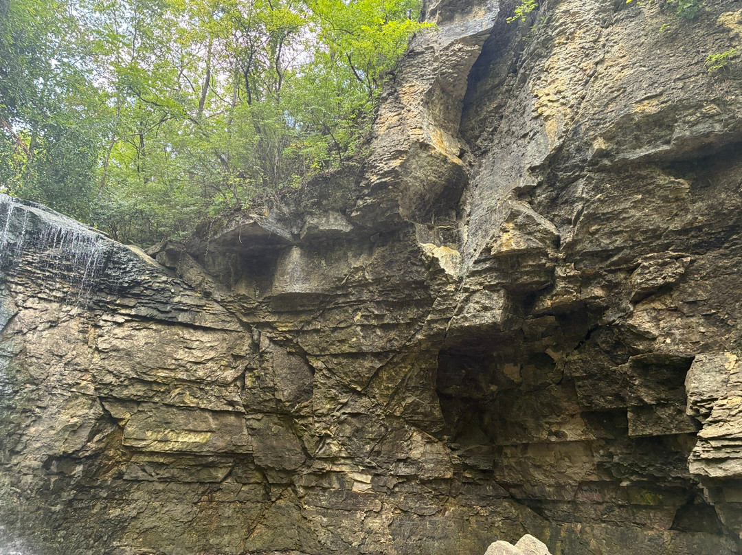 Hayden Falls Park-哥伦布必去景点