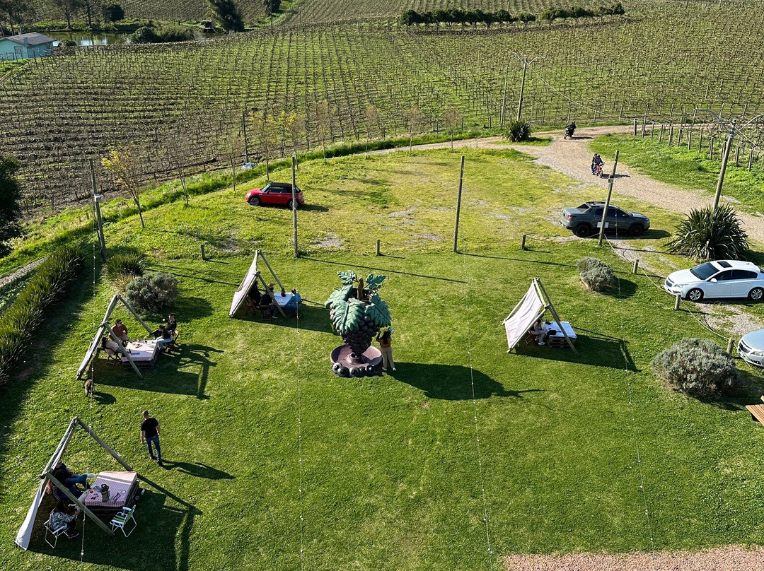 Paradouro Do Suco-Flores Da Cunha必去景点