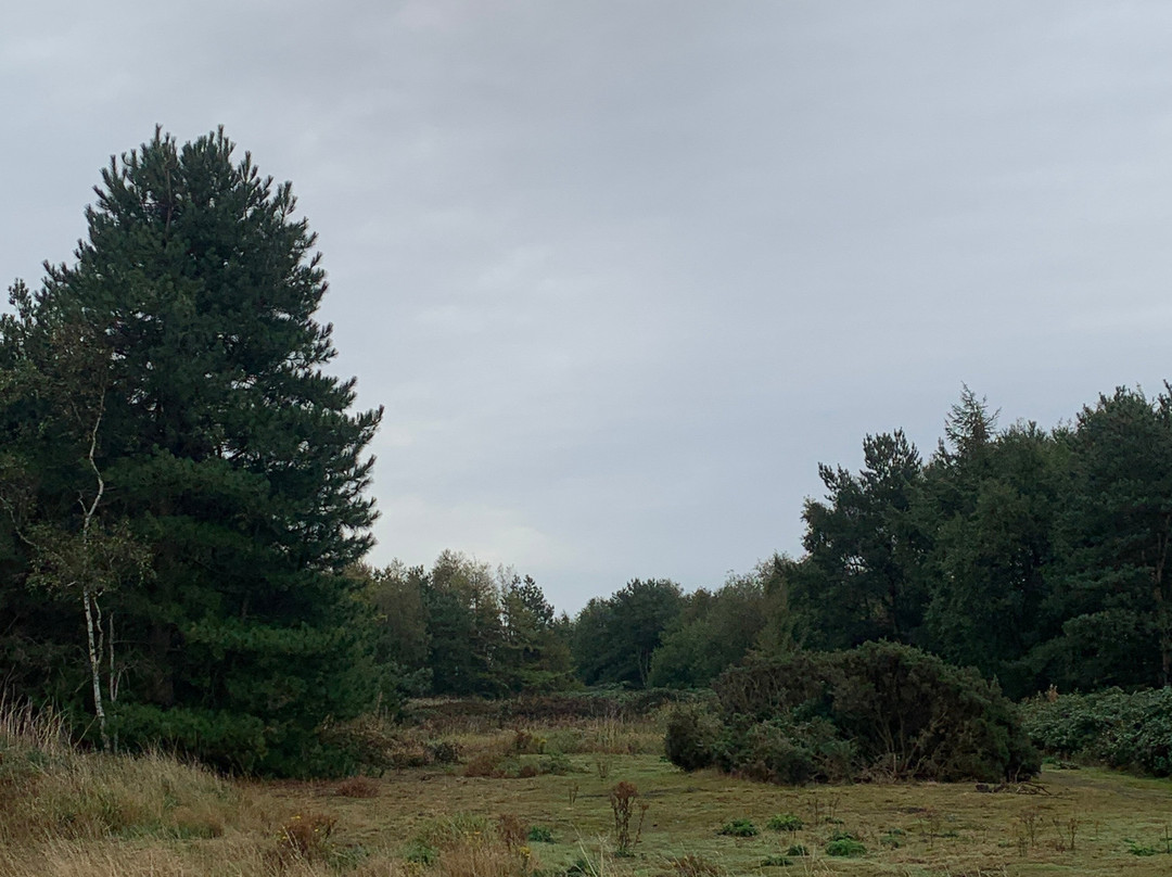 Lunt Meadows Nature Reserve-利物浦必去景点