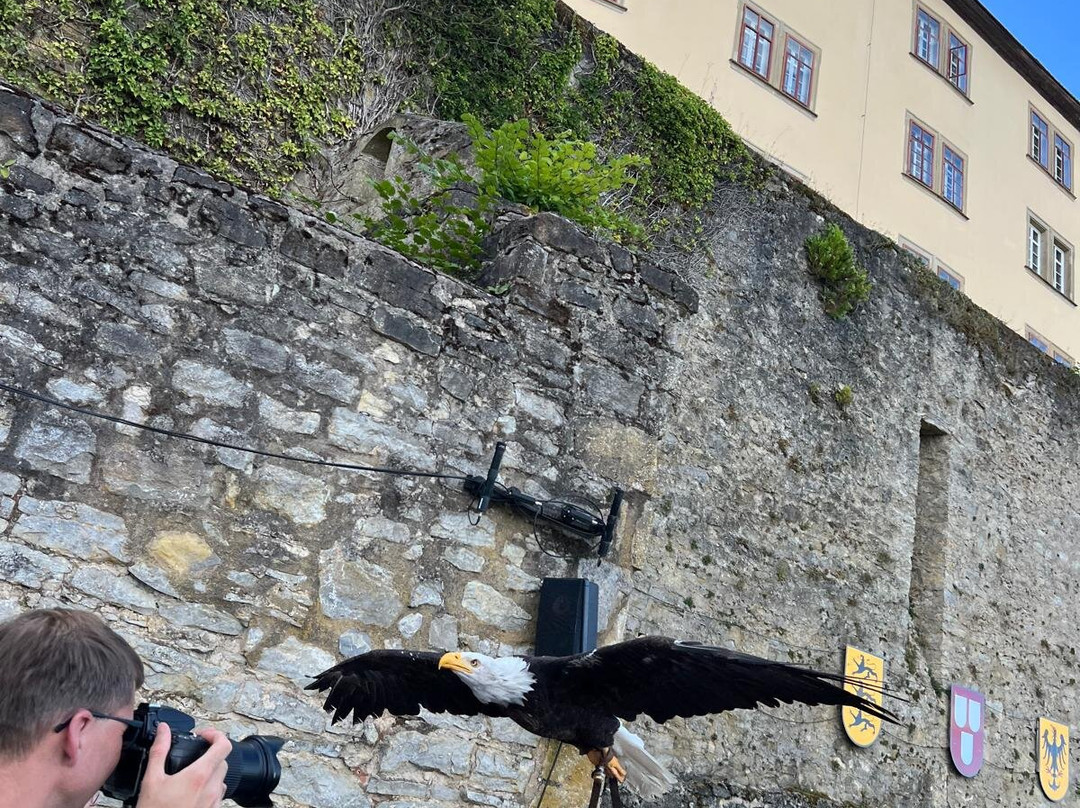 Deutsche Greifenwarte-Hassmersheim必去景点