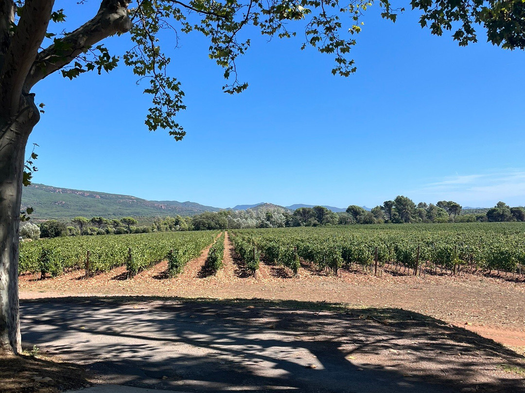 Château des Demoiselles-La Motte必去景点