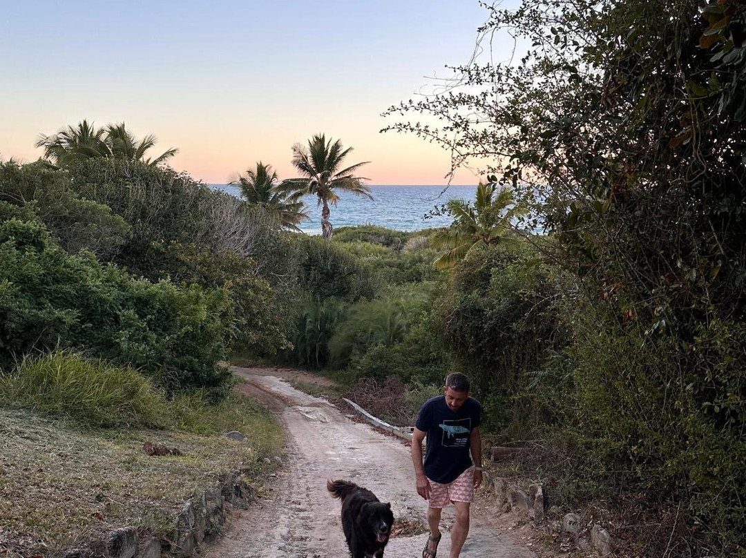 SAFARI, DRIVE & DIVE TOURS-Inhambane必去景点