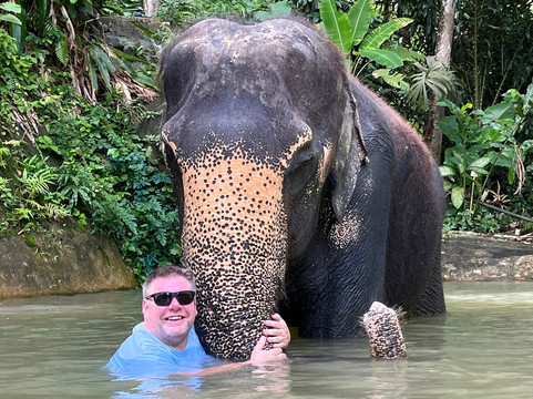 Chalong Elephant Retirement-普吉镇必去景点