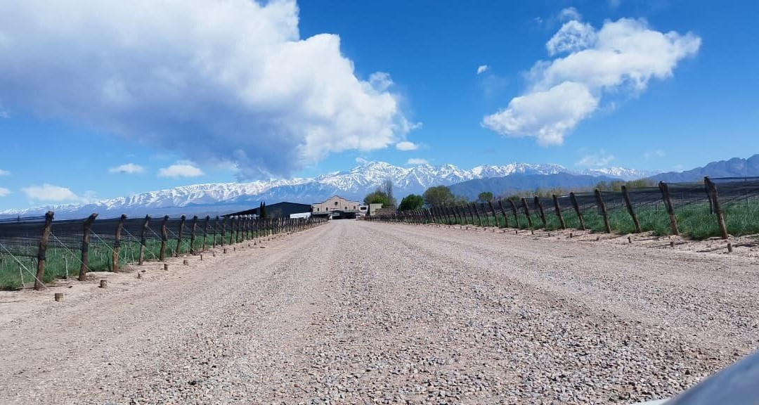 Vina Las Perdices-阿格雷洛必去景点