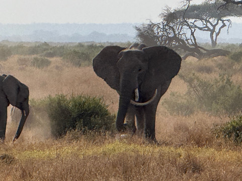 Great Horizon Trails-内罗毕必去景点