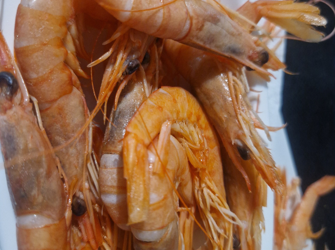 Tasca los Arcos-Soneja必去景点