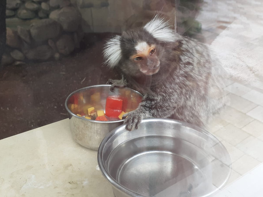 Wasserstern-因戈尔施塔特必去景点