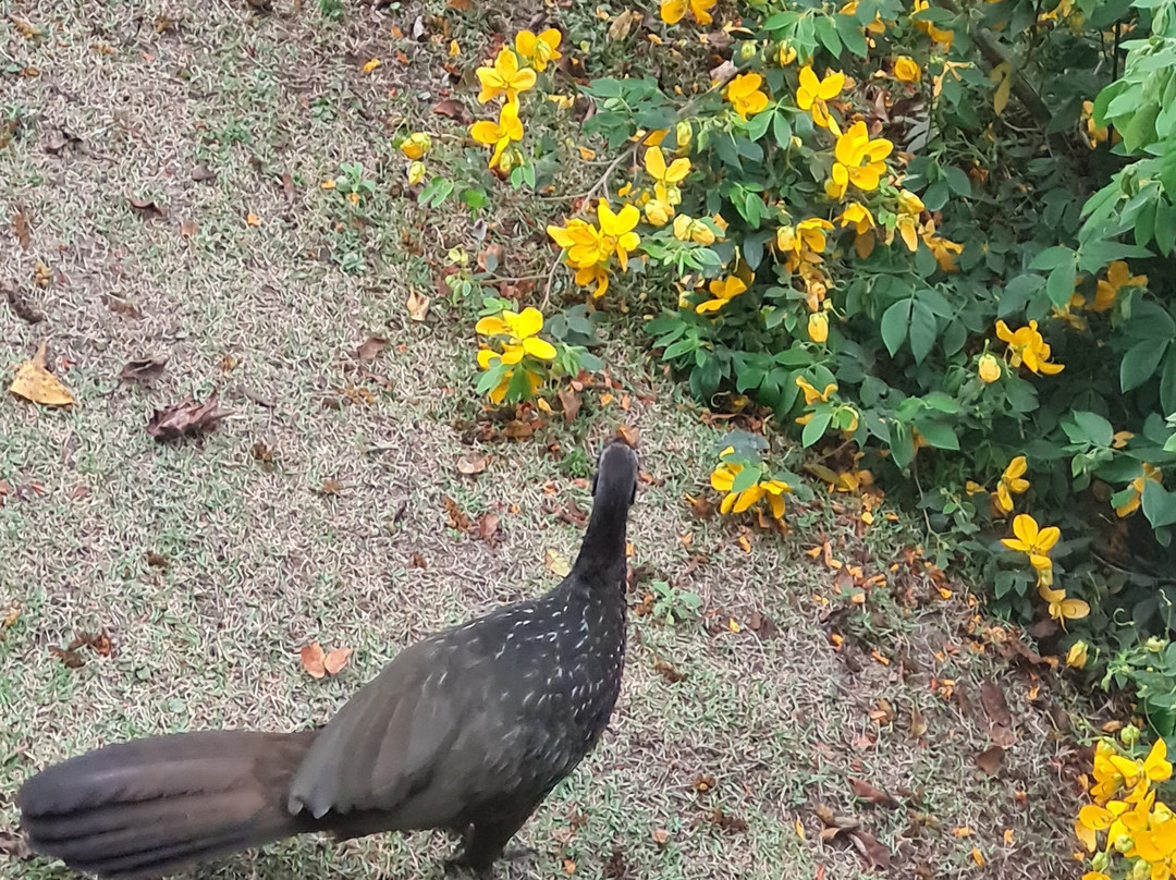 Fazenda Camocim-多明戈斯-马丁斯必去景点