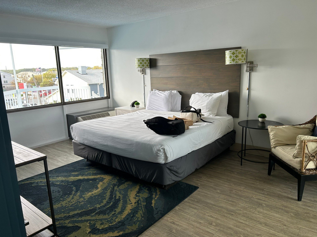 Beach House Dewey主图