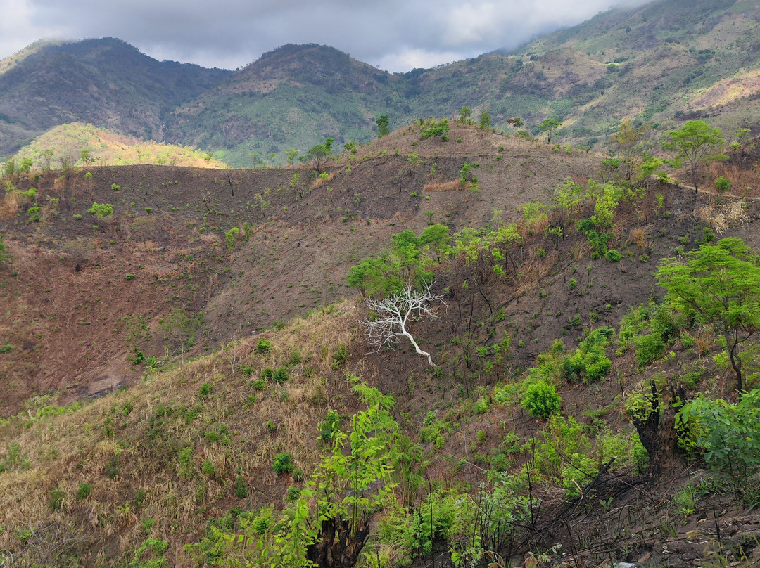 Chizua Waterfalls  Mikumi National Park-米库米国家公园必去景点