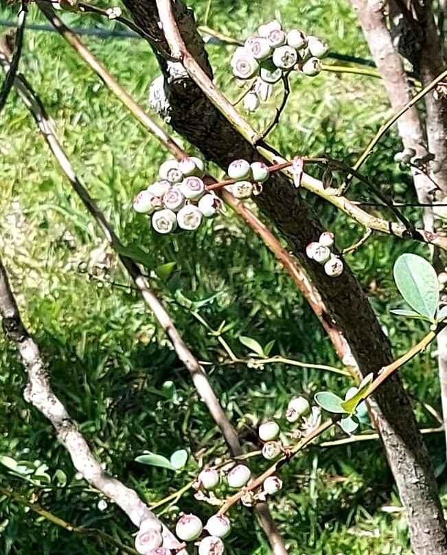 Doces Silber-Otavio Rocha必去景点