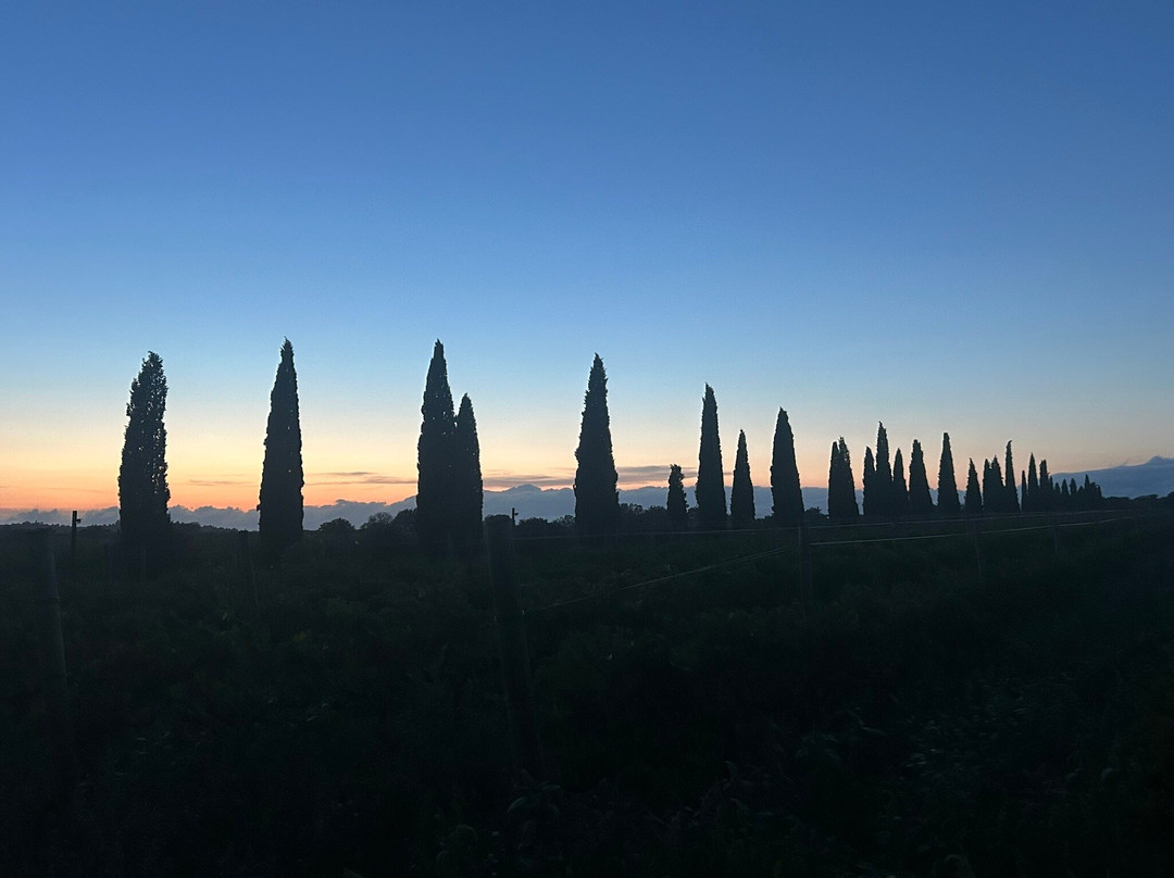 La Vinyeta-Mollet de Peralada必去景点