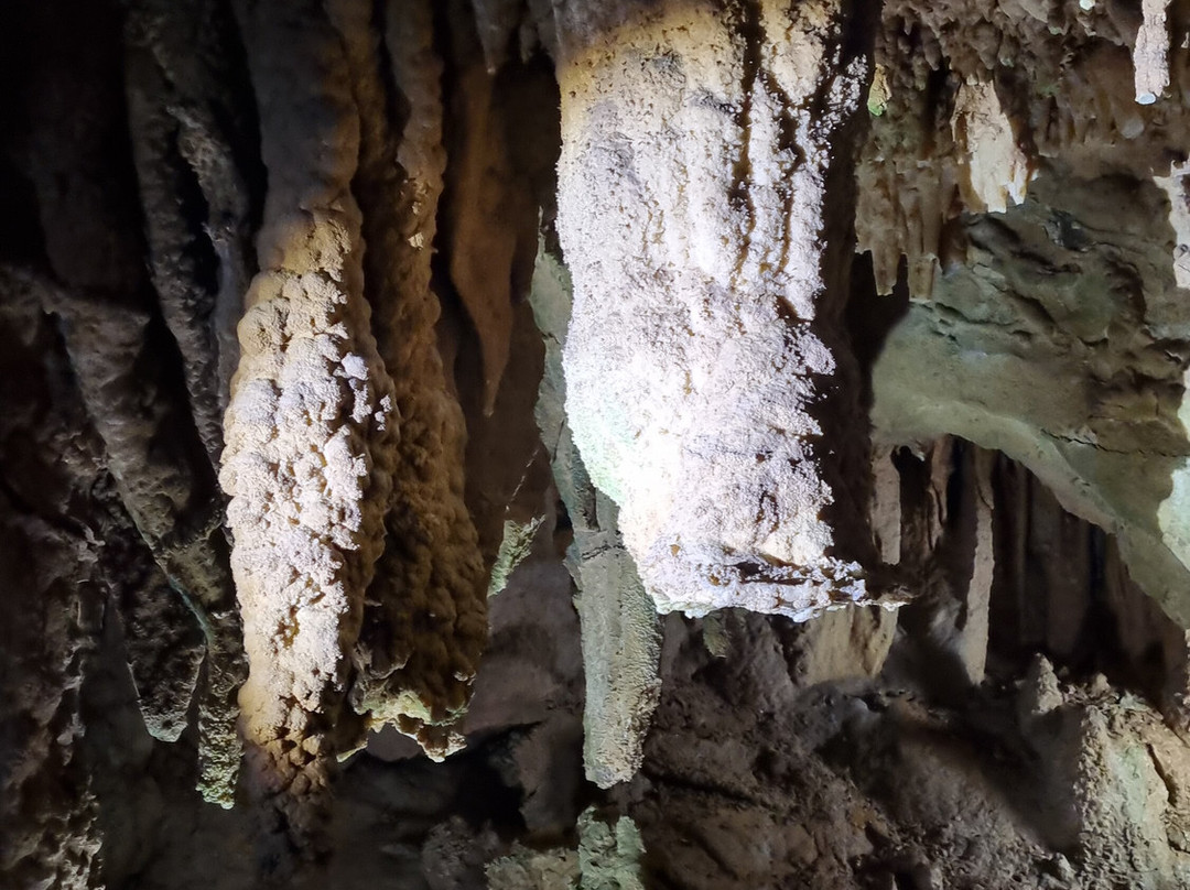 Resavska Cave-Despotovac必去景点