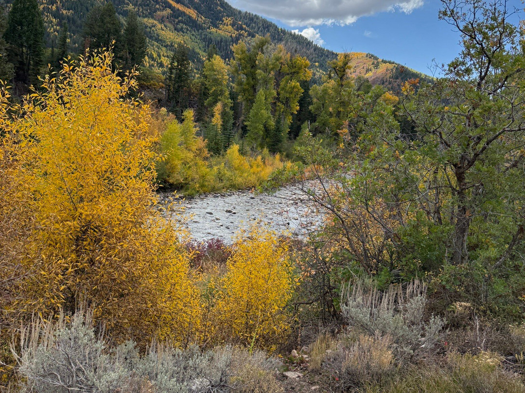 North Forty Escapes-Oakley必去景点