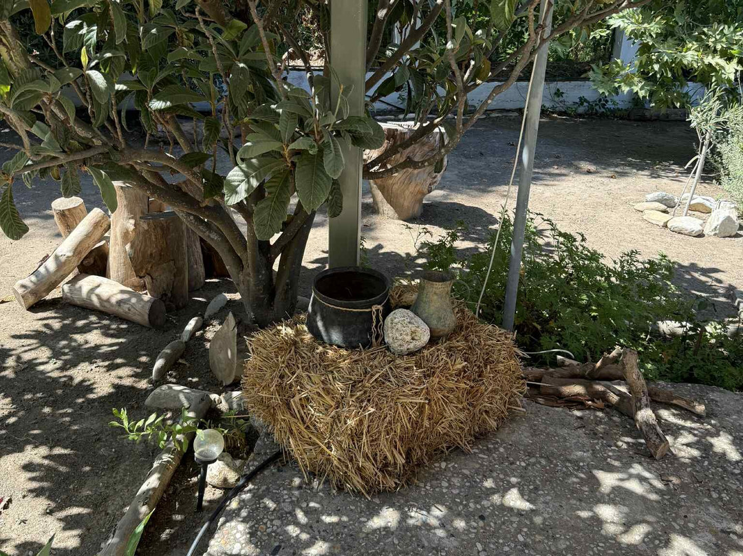 The Garden By Olive Benefits-Karlovasi必去景点