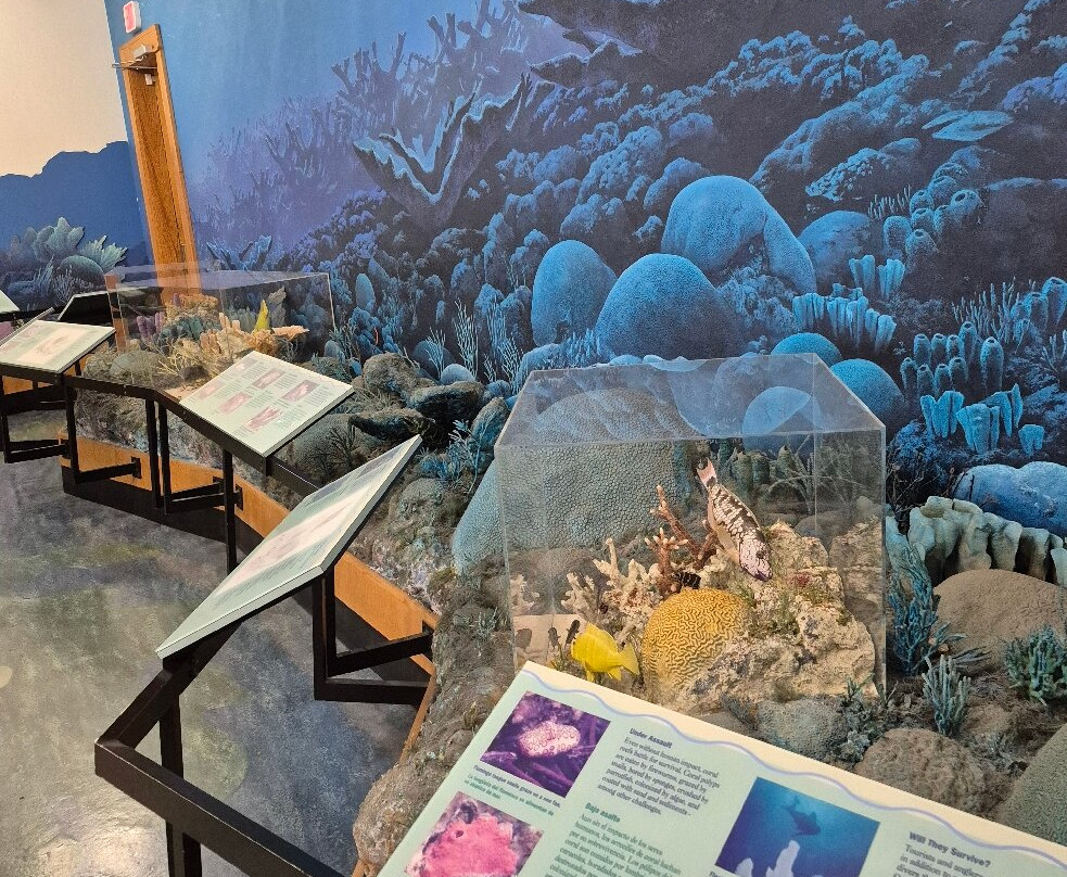 Dante Fascell Visitor Center-霍姆斯特德必去景点