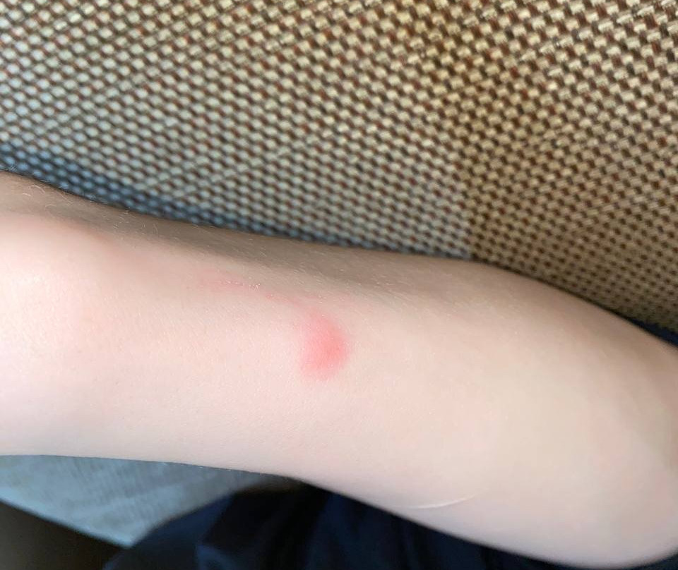 Extended Stay America - Portland - Beaverton主图