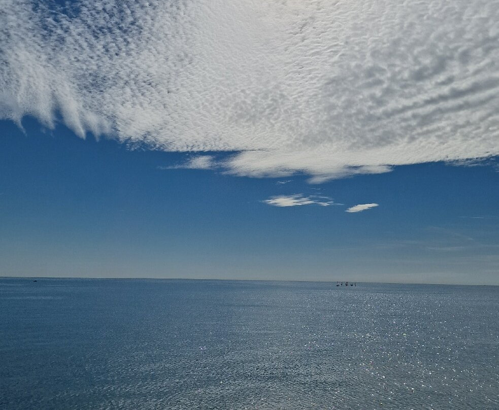Port de Palavas-les-Flots-帕拉瓦莱弗洛必去景点