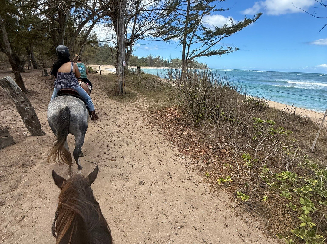 Hawaii Polo Club-瓦亚禄必去景点