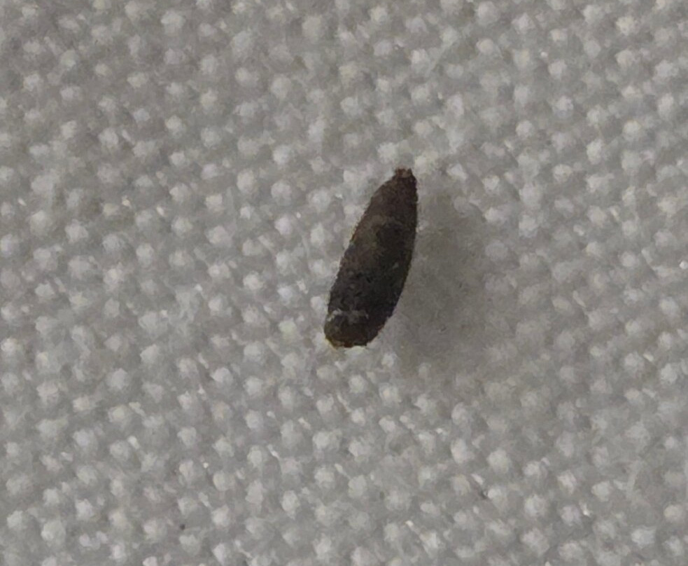 Hôtel Restaurant Gedeon主图