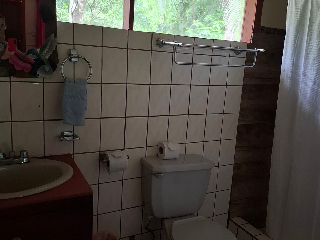 Caribbean Paradise Eco-Lodge主图