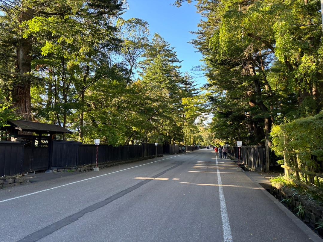Kakunodate-仙北市必去景点