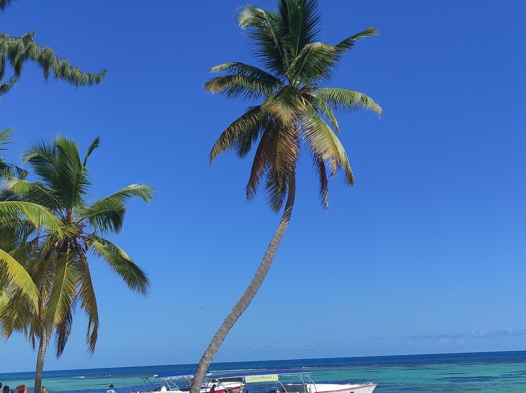 Franconero Escursioni-Bayahibe必去景点